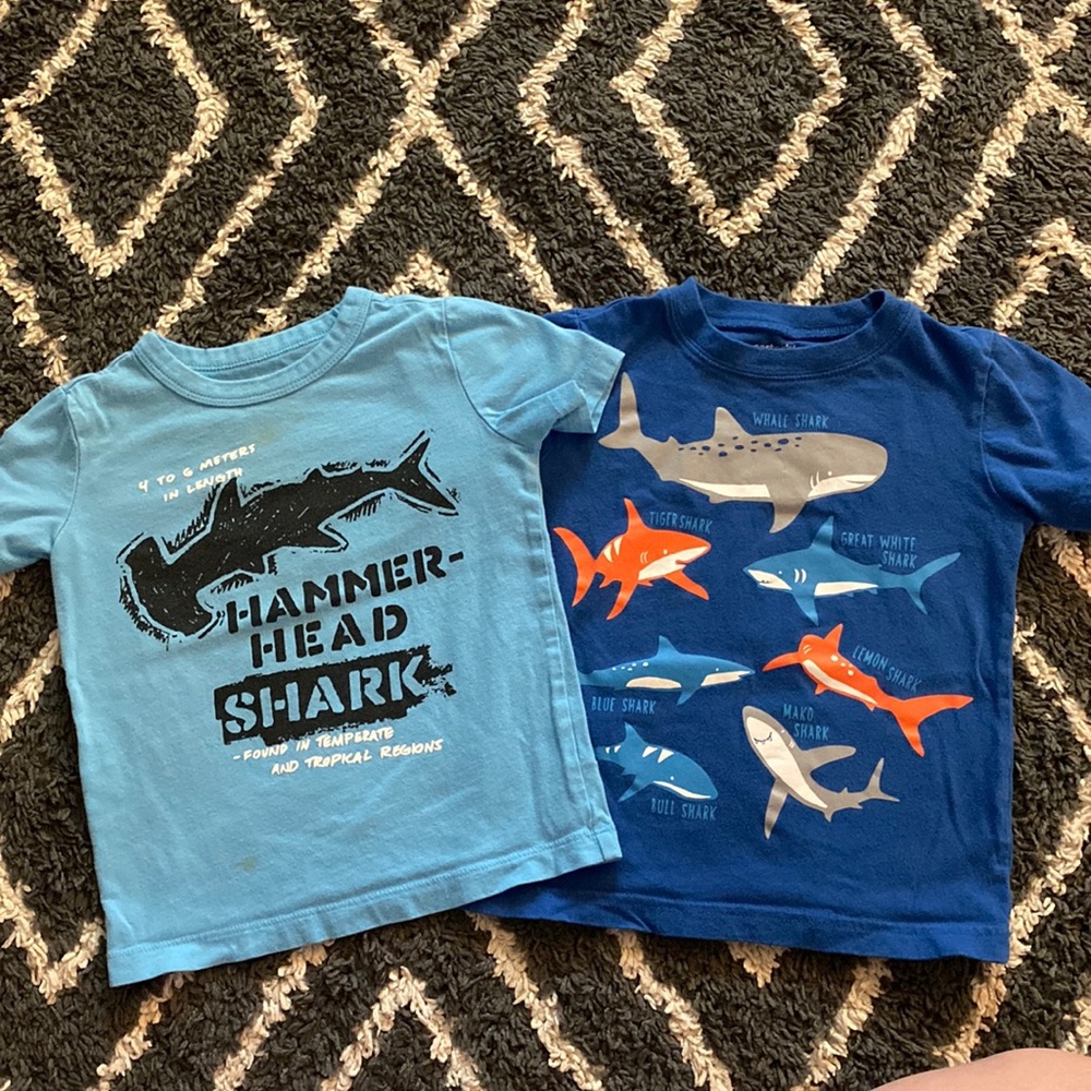 Carter’s/OshKosh T-shirts 2T